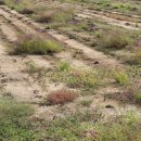 경남환경공인중개사사무소 이미지