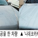 나데코 카케어 이미지