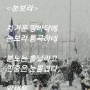 울국민이 노벨평화상 후보에...... 이미지