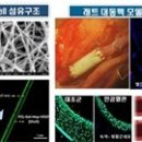 순천향대 의과대학 이병택 교수, 혈관 이식수술 위한 인공혈관 개발 … 국산화 코앞 이미지