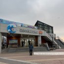 전북군산지역자활센터(오늘뭐멍) | 군산 새조개 주꾸미 샤브샤브 오성수산 거시기초장집 내돈내산 솔직 리뷰