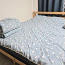 가로수길정원하우스(펜션) | 갬성세대 바베큐장 문경 숲속정원펜션 후기