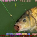 행운낚시터 이미지