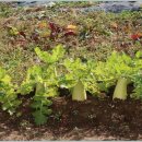 망미주공 이미지