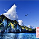 신기한 동식물여행 2 이미지