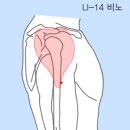 통곡지 이미지