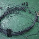 오토보스 코리아 이미지