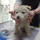 비슬로361길 이미지