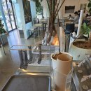 봄의기운 | 양산 상북면 카페 겟인상북 재방문후기, 식물로 가득한 봄의 기운이 느껴지는 양산카페