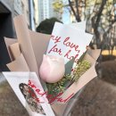 수원-2005 | [경기 수원/광교] 바비슈아｜광교식물·수원식물 맛집, 애견동반 가능한 유니크한 광교꽃집 후기