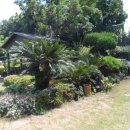 회수동-1 이미지