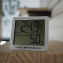 위대한캣츠빌 이미지