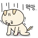 스타일 제이(J)헤어