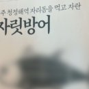 일본산 방어 &#39;국내산&#39; 둔갑. 4.6톤 횟감으로.. 이미지