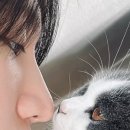 D-6 이미지