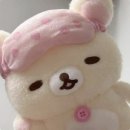 묵호 무코야 선물가게 소품샵 방문 내돈내산 솔직후기 (feat. 묵호닭강정)
