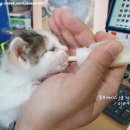 동부카공업사 이미지