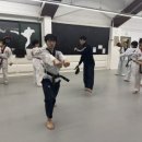 Team태권도장 이미지