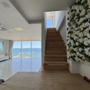 해돋이농산고기마트 | "문 열자마자 바다…" 포항 해돋이 명소 월하 풀빌라, 올여름 저장 필수 오션뷰 숙소