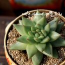 동운농장 이미지