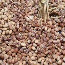 청은농장 이미지