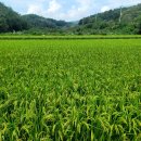 덕연농장 이미지