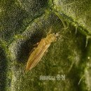 ㈜킨섹트 이미지