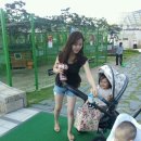 평촌공원 입구 이미지