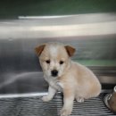 현대성우캐스팅1공장 이미지