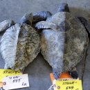 (주)거북 이미지