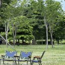 하단동1212 이미지