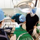 서울박사치과의원 이미지