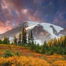 자연풍경 이미지