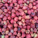 뜨락농장 이미지