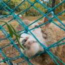 늘솔길공원1 이미지