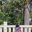 350-1-000006 | 아사쿠사 기모노 대여 Klook 후기, 길거리 간식과 사진 스팟 추천