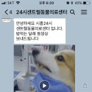 목감동물병원 이미지