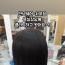 대중도기 이미지