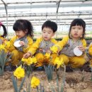 하늘어린이집 이미지