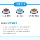 340stay | 테이 : 유익균30배 증가에 도움을 주고 배앓이와 독소제거에 탁월한 강아지 &amp; 고양이겸용_레반유산균 후기