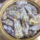 나주혁신도시 부영CC | 빛가람동맛집 나주혁신도시 빛가람왕새우직판장 석화찜 양 실화?