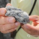 미포산단진입도로 이미지