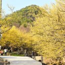 현천마을 이미지