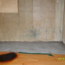 강동로-45 이미지