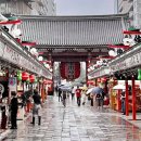 Beauty in Dog's | 30 best places to visit in Tokyo part 1
