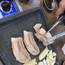 지리산 복돼지 이미지