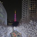 세정타워 앞 횡단보도 | 도쿄 롯폰기 힐즈 일루미네이션 후기｜도쿄타워 보이는 겨울 야경 명소 힐즈