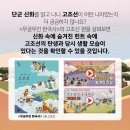 휘슬러전주