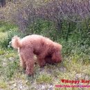 명달근린공원 이미지