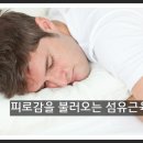 상도동 통증의학과 :: 섬유근육통 증상과 예방 이미지